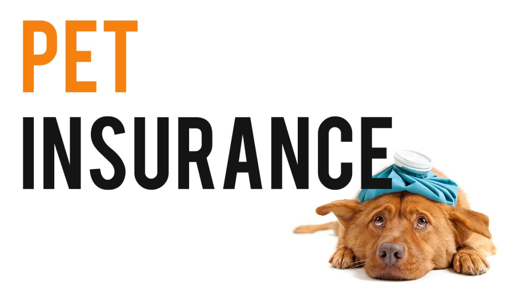 pet insurance for cats